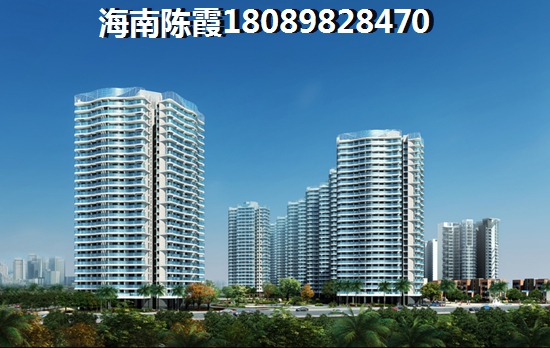 海口市什么地方不潮湿？