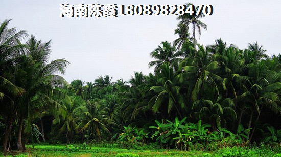 三亚房价又高涨是不是真的吗? 三亚房价又高涨是不是真的吗?